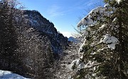 31 Il sole comincia a sciogliere la neve sulle piante